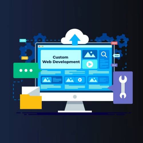 Custom Website Development Agency in Goa